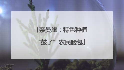 奈曼旗：特色种植“鼓了”农民腰包